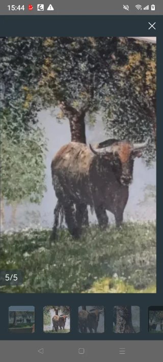 Cuadro al óleo de toros Miura