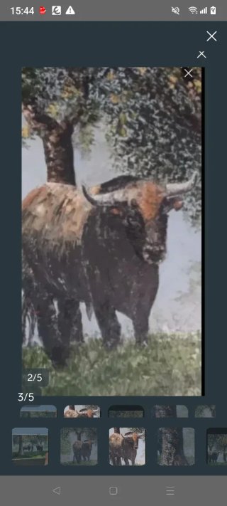 Cuadro al óleo de toros Miura