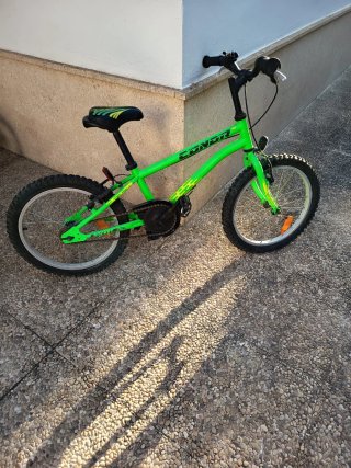 Bicicleta infantil verde