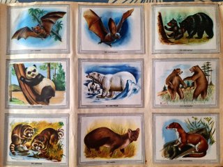 Álbum de cromos Vida y Color