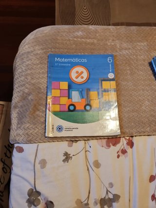 Matemáticas 6 Primaria