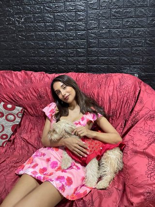Cuidado de perros y gatos