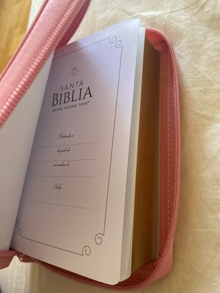 BIBLIA REINA VALERA 1960 LETRA GRANDE COMPACTA