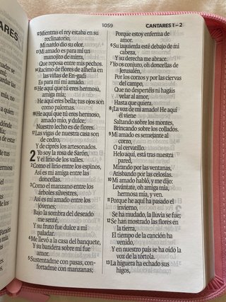 BIBLIA REINA VALERA 1960 LETRA GRANDE COMPACTA