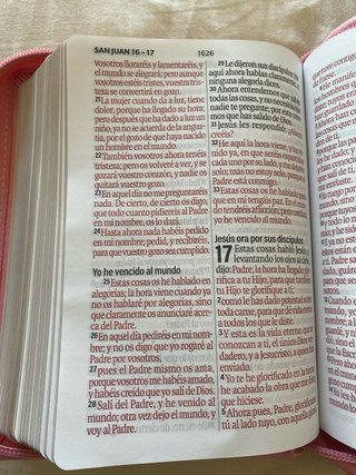 BIBLIA REINA VALERA 1960 LETRA GRANDE COMPACTA