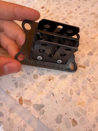 Caja de laminas carbono Malossi VL6