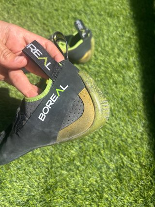 Pies de gato Boreal Alpha