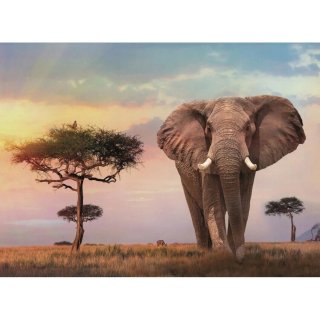 Puzzle NUEVO Clementoni Elefante Africano 500 Piez