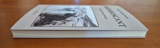 Desemboscant, de Martí Boada Juncà