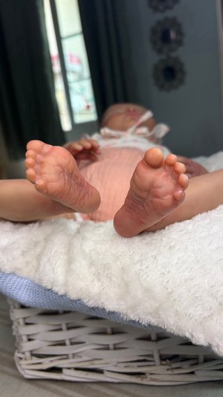 Muñeca Reborn Vinilo Bebé Realista