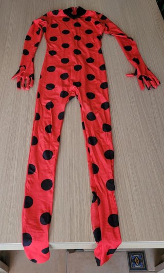 Disfraz de Lady Bug