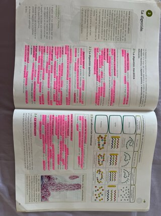 Biología y geología, 3 ESO, Operación mundo