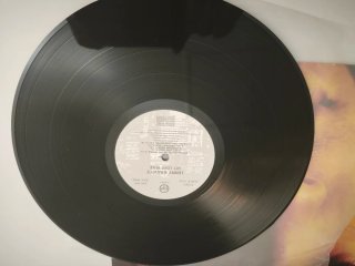 Vinilo Lenny Kravitz Let Love Rule Original UK