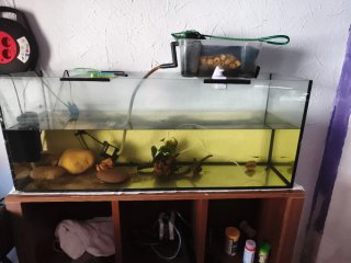Acuario 180L con accesorios