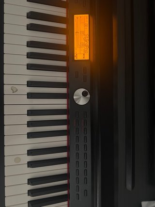 Thomann DP95-B
