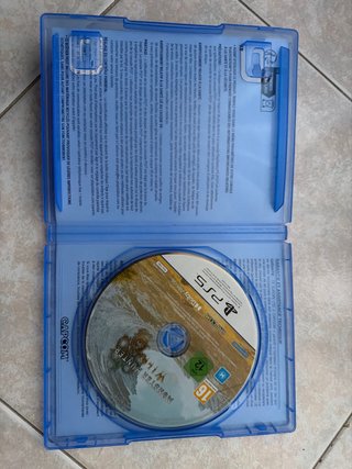 Monster Hunter Wilds PS5