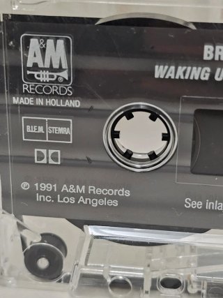 Bryan Adams – Waking Up the Neighbours – MC 1991