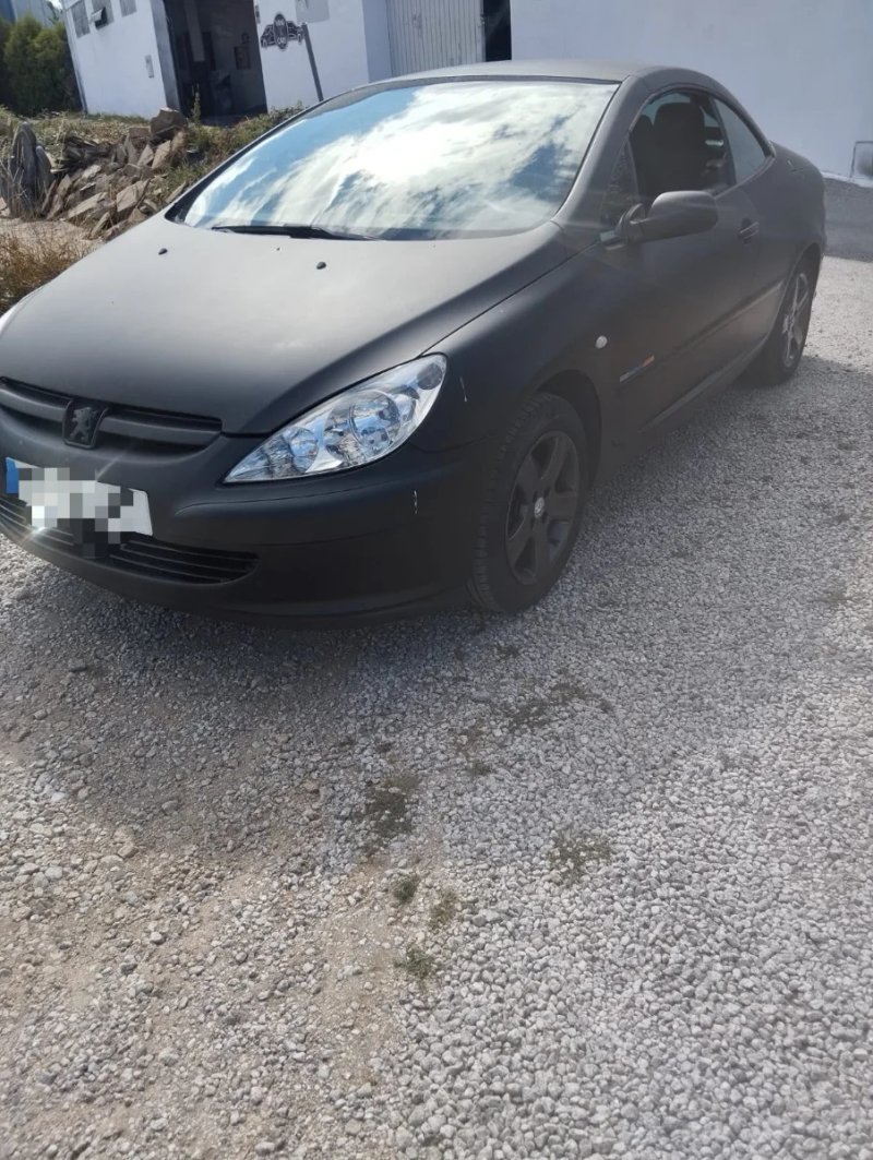 Peugeot 307 2004 - foto 1