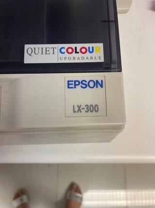 Impresora Epson LX-300