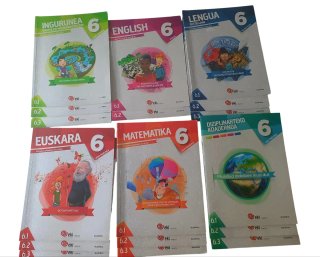 Lote Libros 6º Primaria Ikaselkar