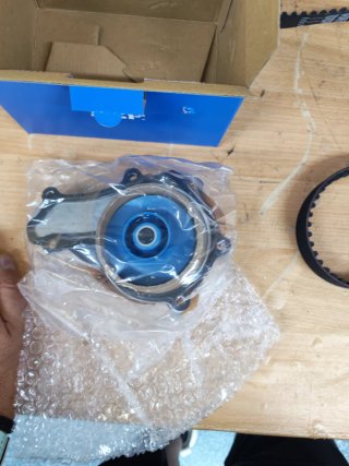 Kit Distribución SKF VKMC 03259 con Bomba