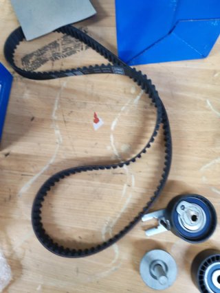 Kit Distribución SKF VKMC 03259 con Bomba