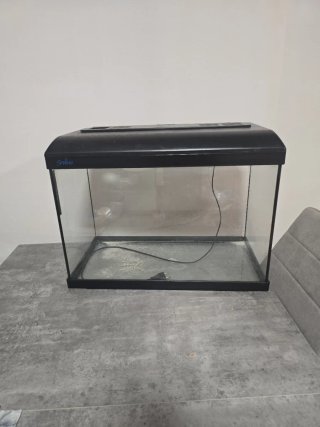 Acuario/Terrario Negro y Transparente