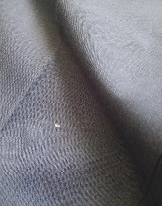 Pantaloni eleganti blu