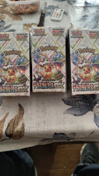Pokémon Terastal Festival Japonés Sellado