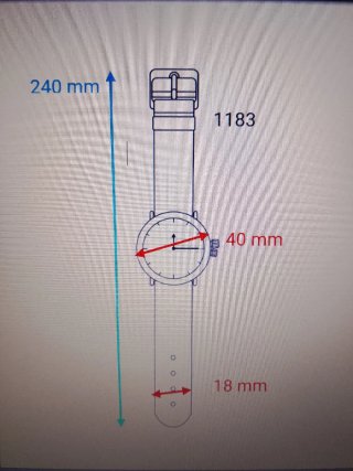 Reloj Casio Plata