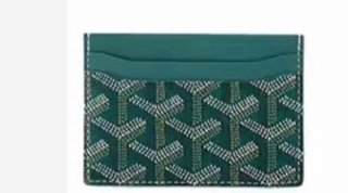 Cartera Goyard Verde Multicolor