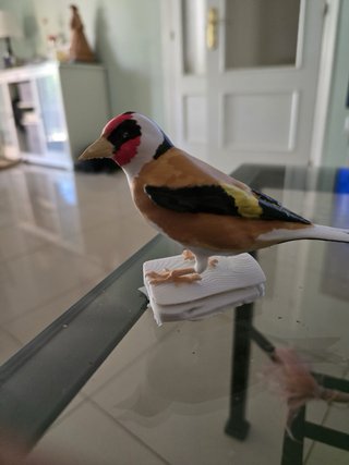 Jilguero 3D pintado a mano