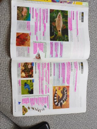 Biología Y Geología 1 Secundaria