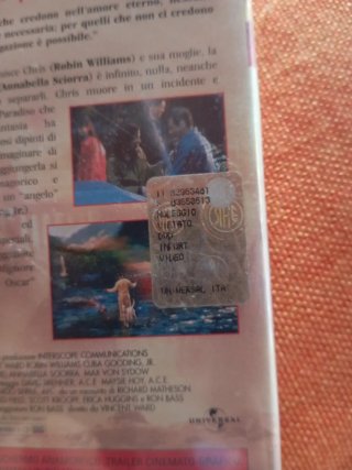 DVD Al di là dei sogni Robin Williams