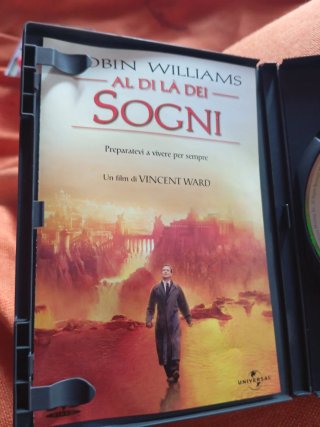 DVD Al di là dei sogni Robin Williams