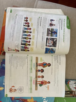 Libros 6º primaria sagrado corazon pontevedra