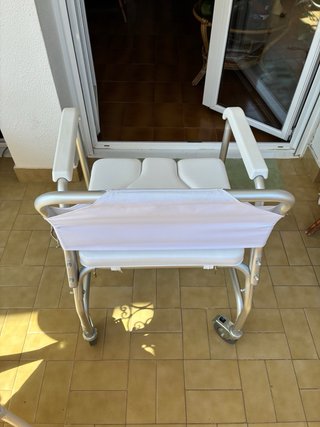 Silla de ducha e inodoro