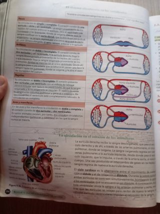 Biología, Geología y CC. Ambientales 1º Bachill...