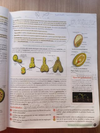 Biología, Geología y CC. Ambientales 1º Bachill...