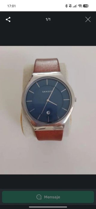 Reloj Skagen Caballero Azul y Marrón