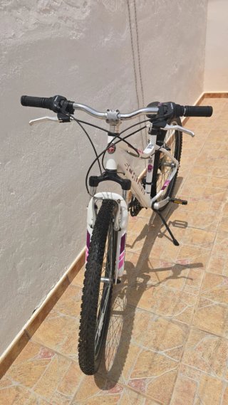 Bicicleta Schwinn Cruiser Montaña