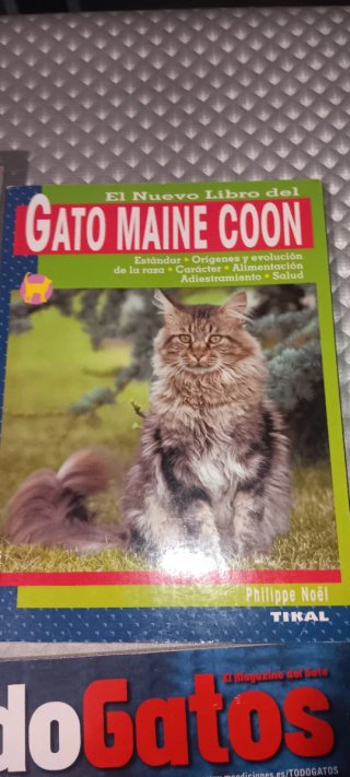 Lote libros y revistas sobre gatos