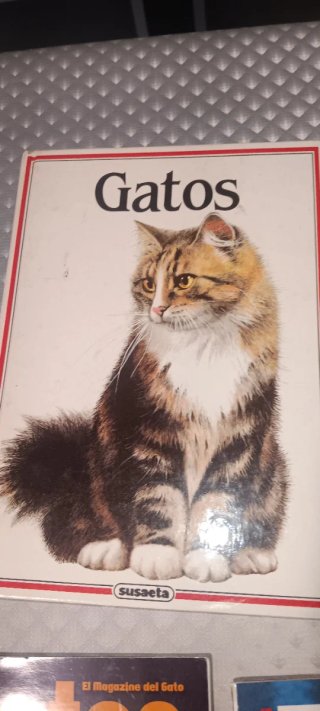 Lote libros y revistas sobre gatos