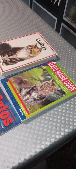 Lote libros y revistas sobre gatos