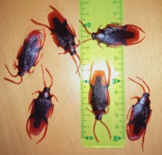 Set 6 Cucarachas Plástico Juguete Broma