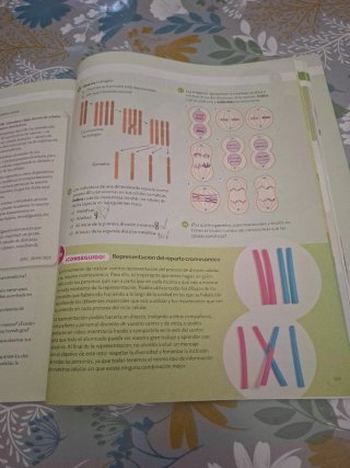 Biología y Geología. 4° ESO. Santillana