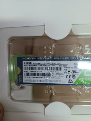 Western Digital SSD M.2 SATA III de 240 GB, Verde