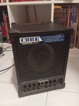 Roland Cube Monitor CM-30