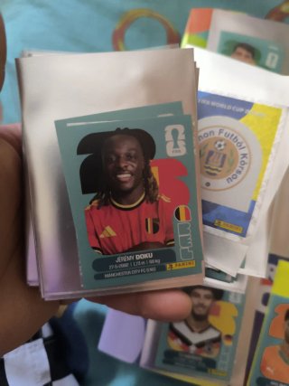 Intercambio  Cromos Mundial 2026 Panini