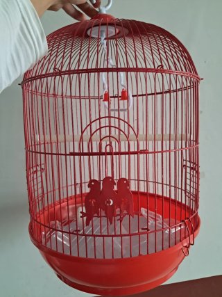 Jaula para pájaros roja